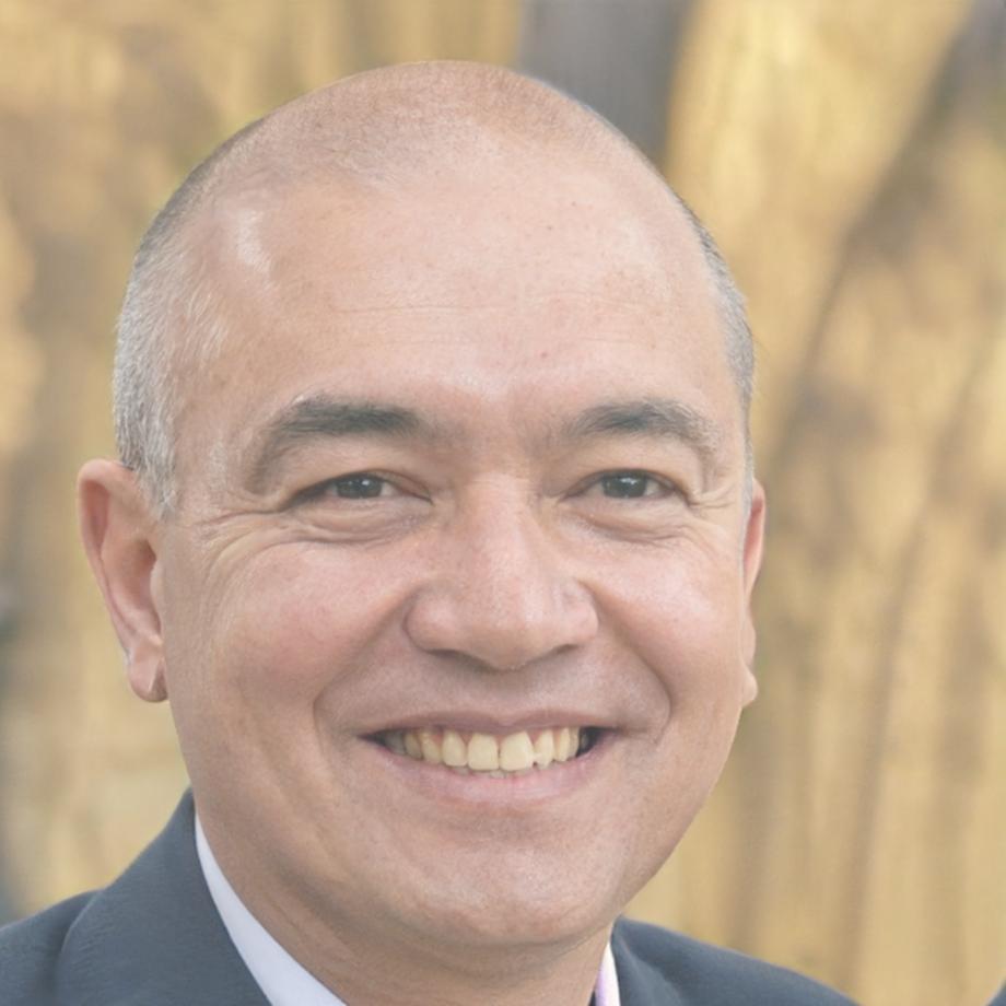 Partnership representative